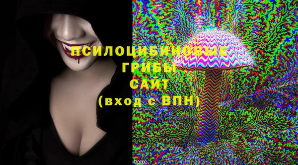 стафф Ладушкин