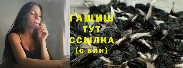 стафф Ладушкин