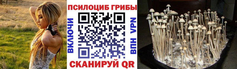 Псилоцибиновые грибы Psilocybine cubensis  Купить где  Лагань 